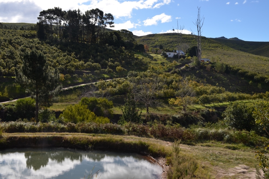 0 Bedroom Property for Sale in Herbertsdale Western Cape